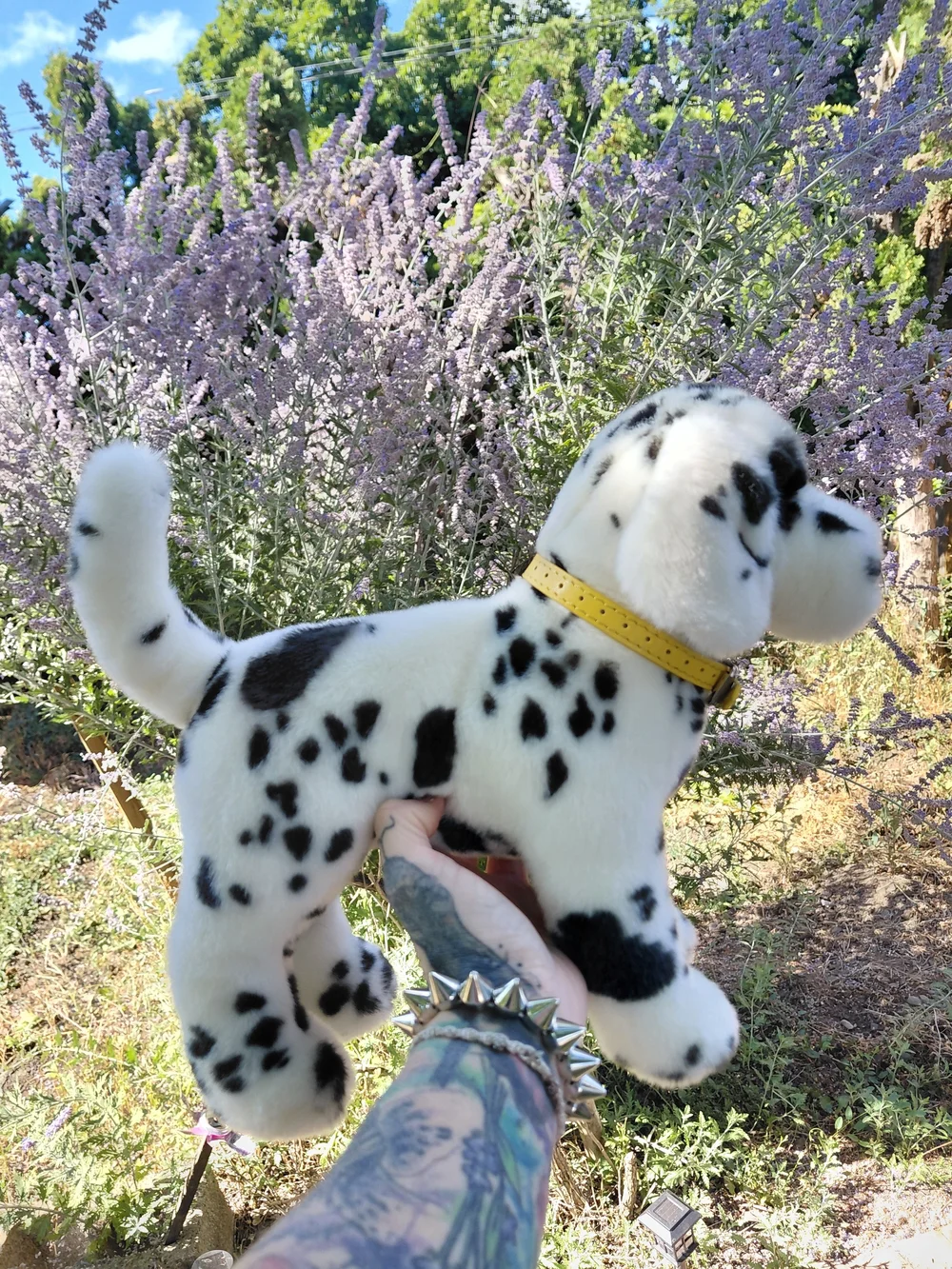Plush Dalmatian Dog Douglas With Tags